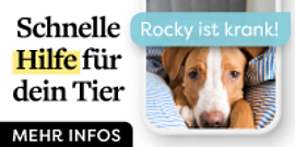 Dr. Sam der Online Tierdoc